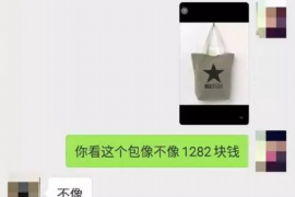 长沙的网贷催收电话：揭秘网贷催收现状及应对策略